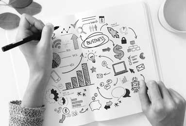 纪元117：罗马和平指南——人口管理与文化抉择